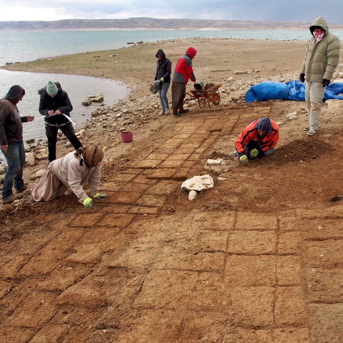 Credit: Universities of Freiburg and Tübingen, KAO