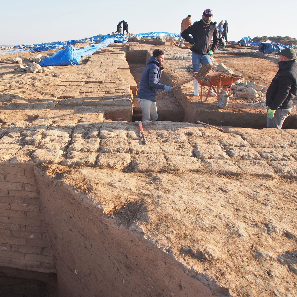 Credit: Universities of Freiburg and Tübingen, KAO