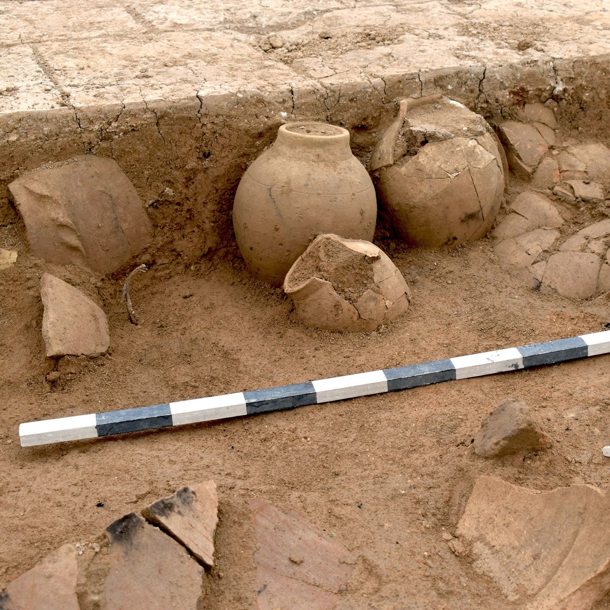 Credit: Universities of Freiburg and Tübingen, KAO