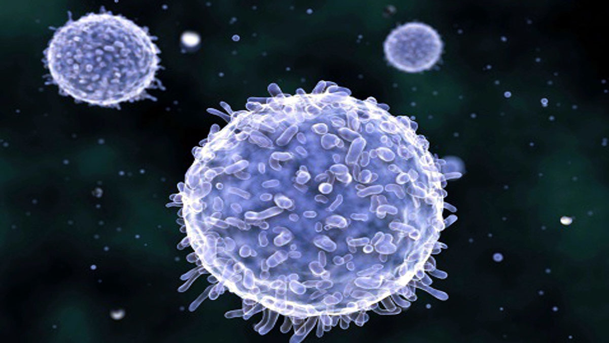 Types of Blood Cells