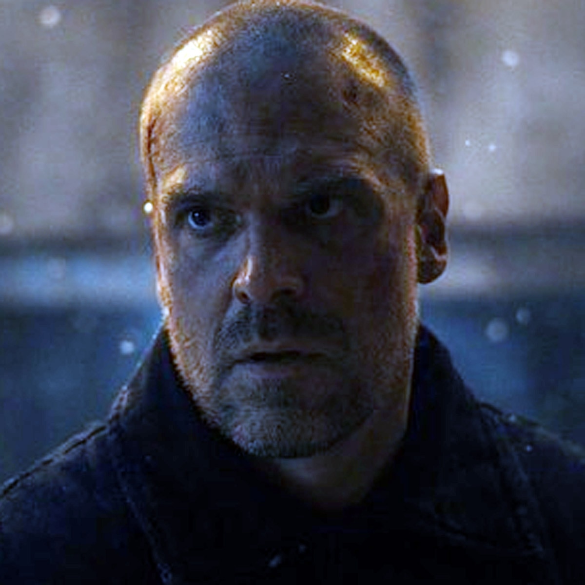 डेव‍िड हार्बर 