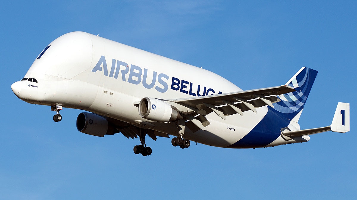 what is beluga airbus