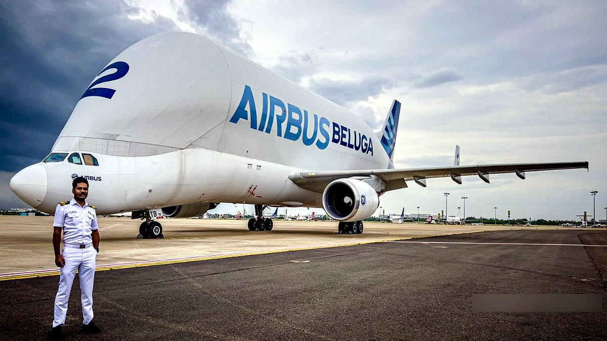 what is beluga airbus