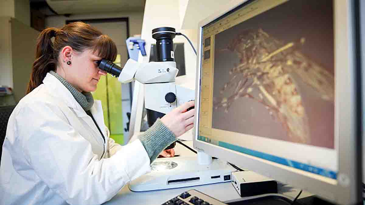 ICMR Mosquitoes Dengue