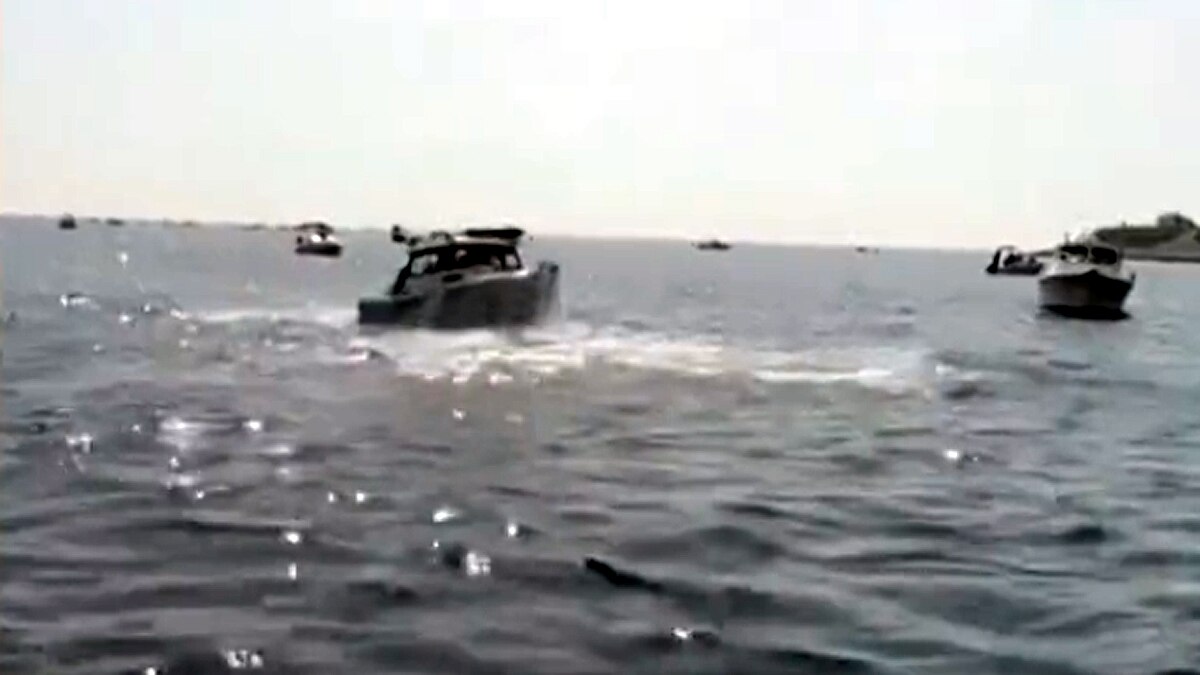 whale jumped on fishing boat 