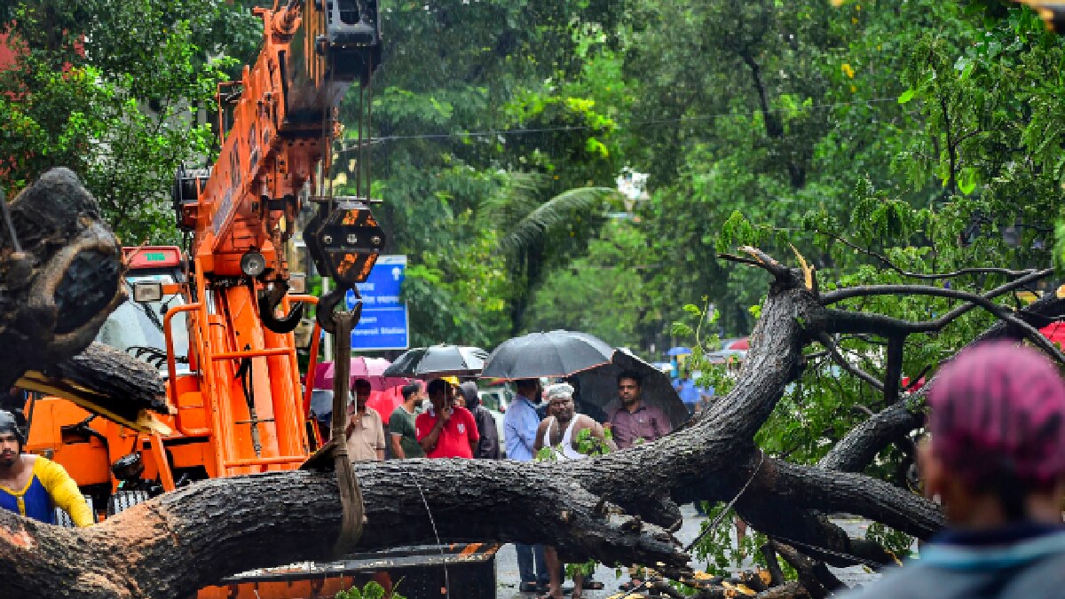 Mumbai Rainfall