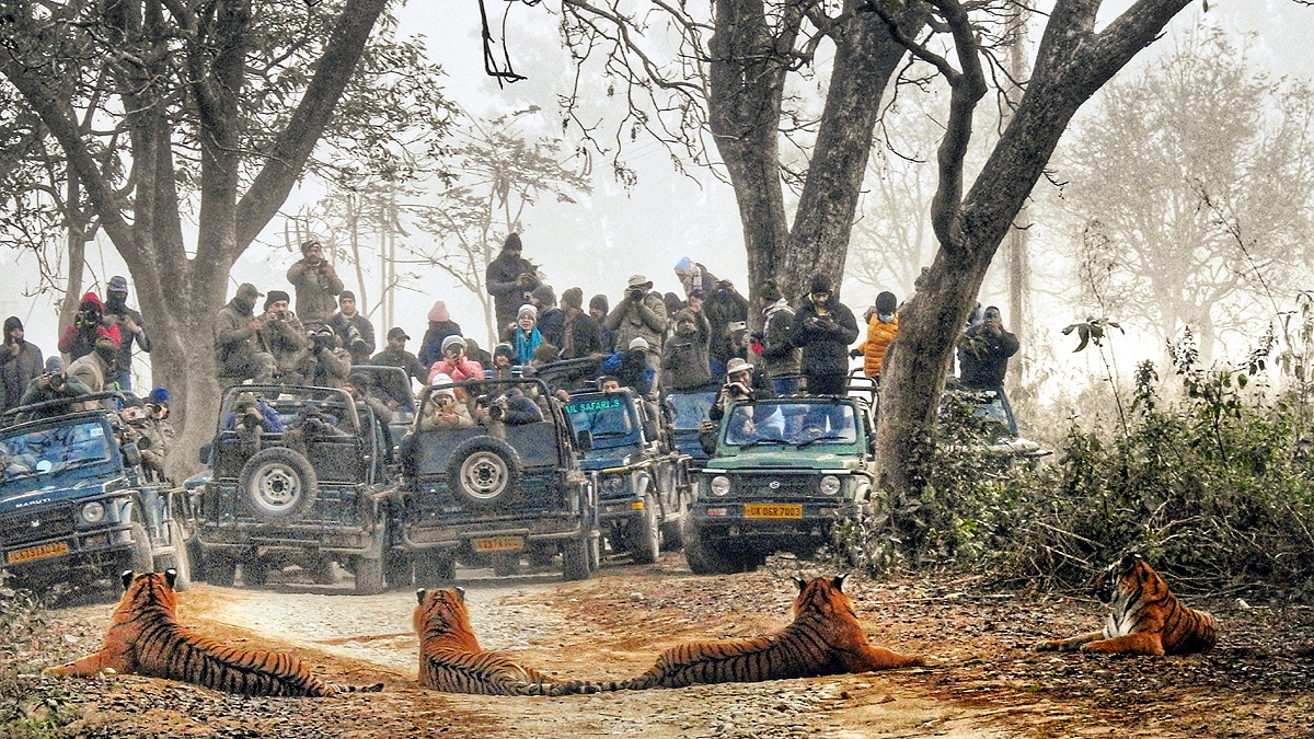 International Tiger Day Jim Corbett
