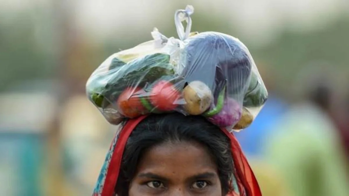 प्लास्टिक कैरी बैग