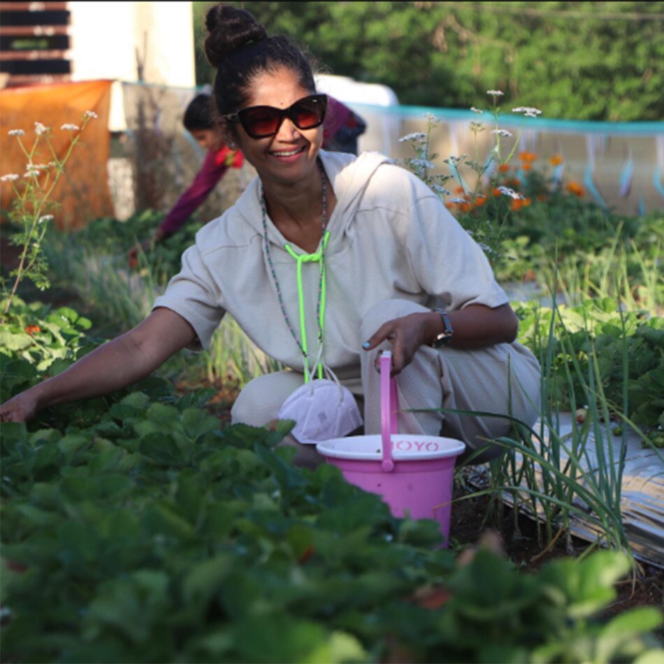 रतन राजपूत 