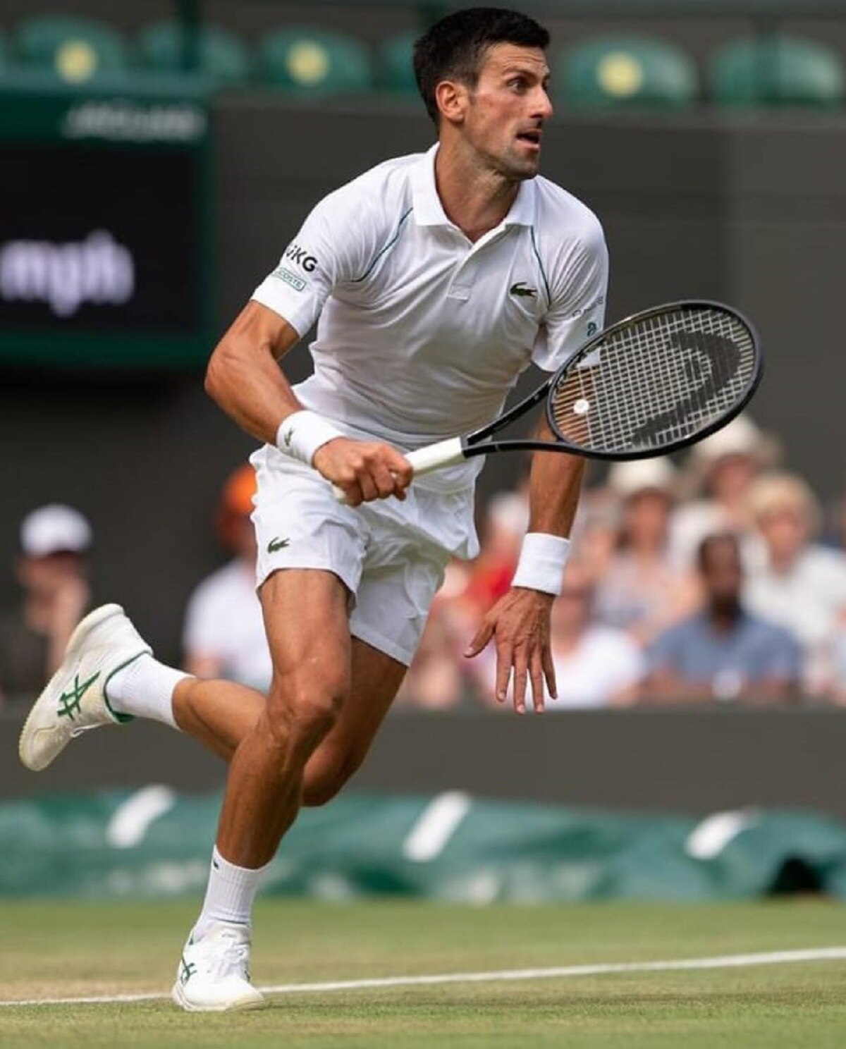 नोवाक जोकोविच