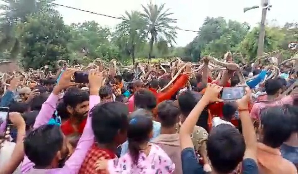 सांप मेला