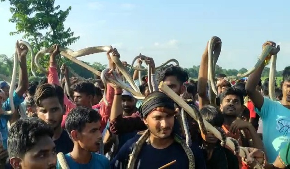 सांप मेला