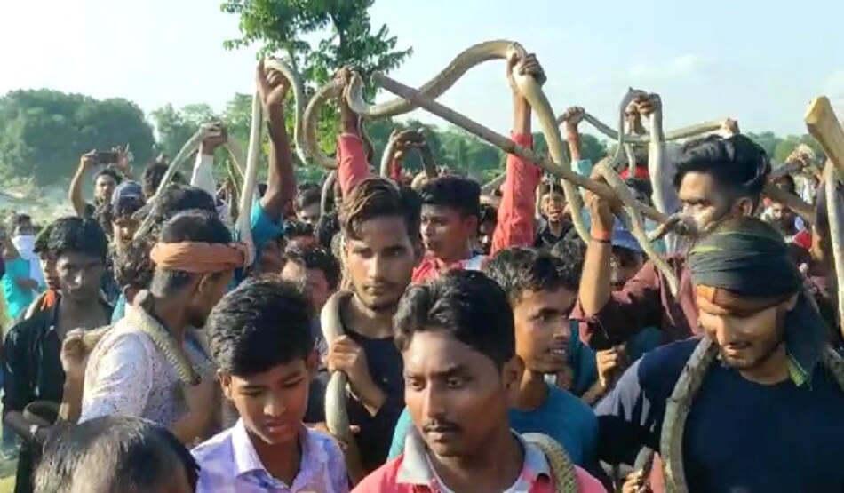 सांप मेला