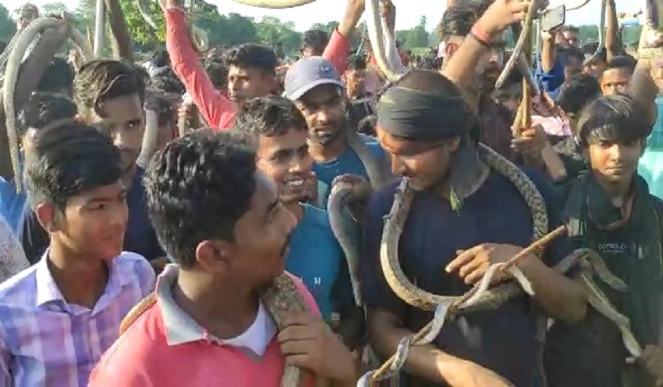 सांप मेला