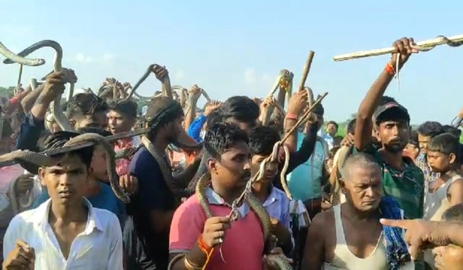 सांप मेला