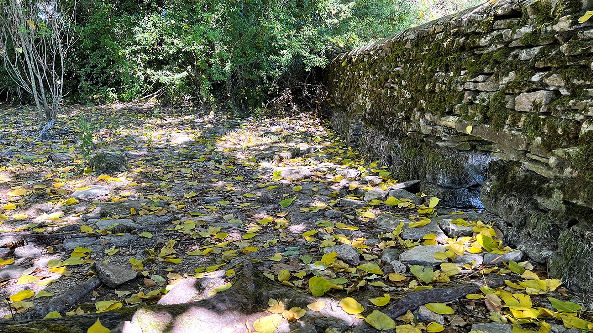 Thames River Source Dries