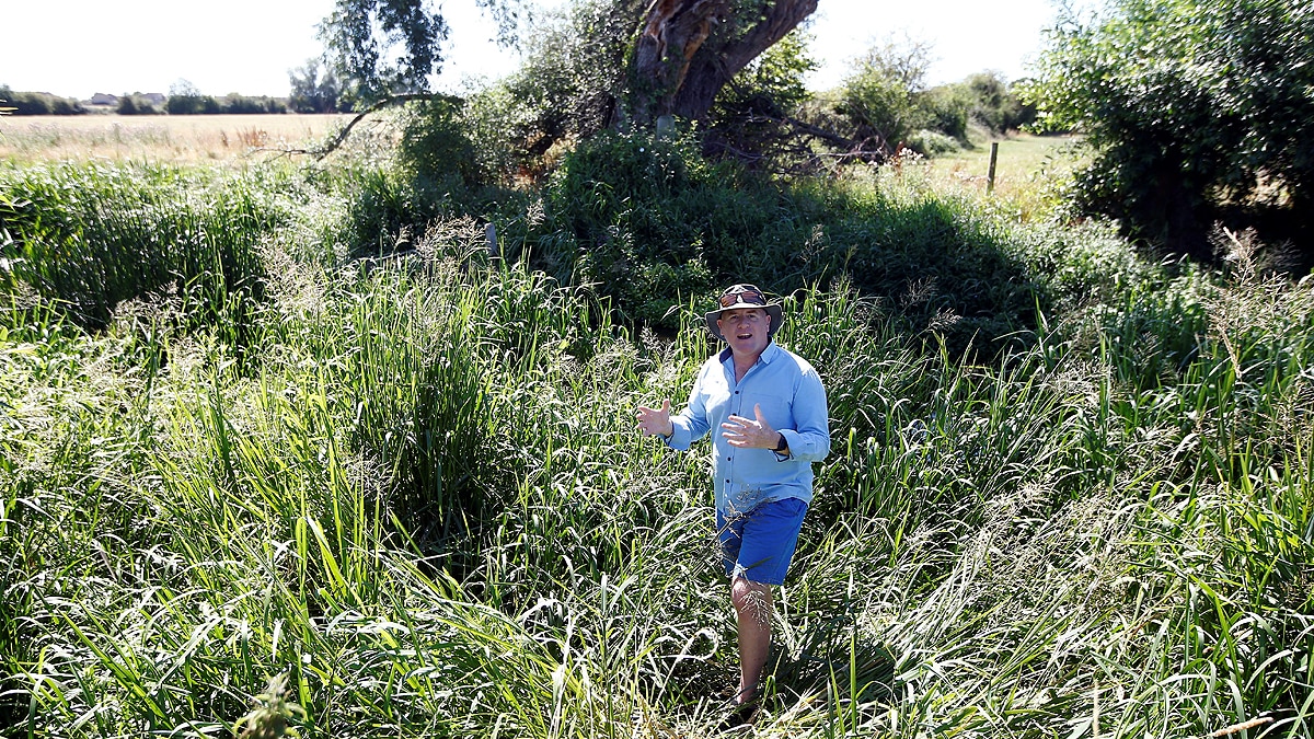 Thames River Source Dries