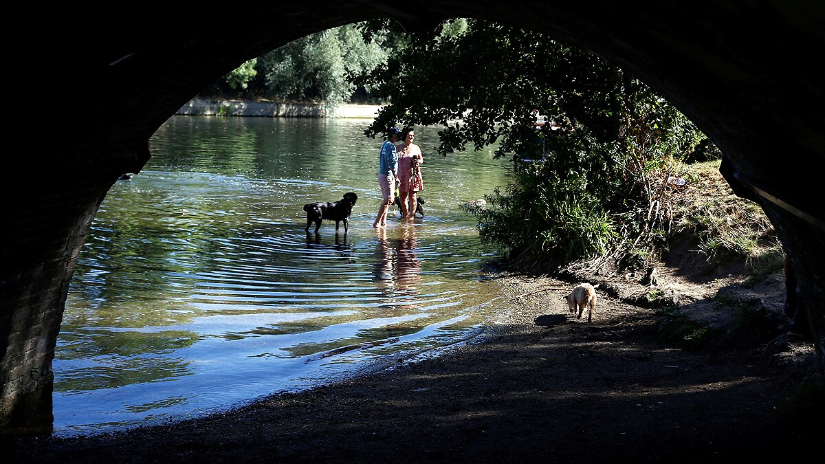 Thames River Source Dries