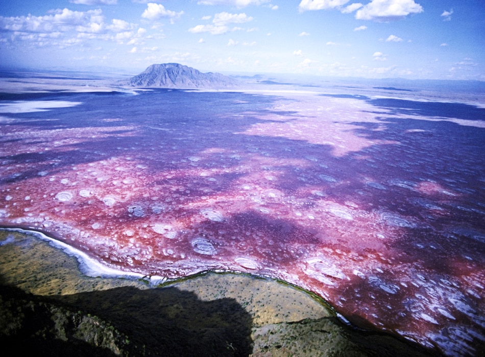 नैट्रॉन झील, तंजानिया (Lake Natron, Tanzania)