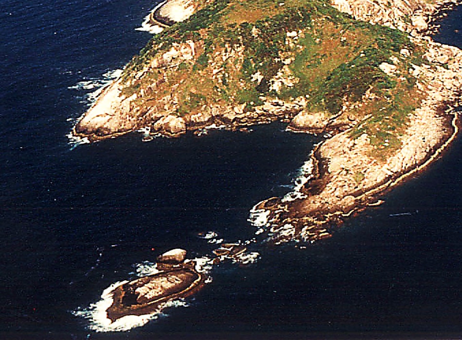 स्नेक आइलैंड, ब्राजील (Snake Island, Brazil)