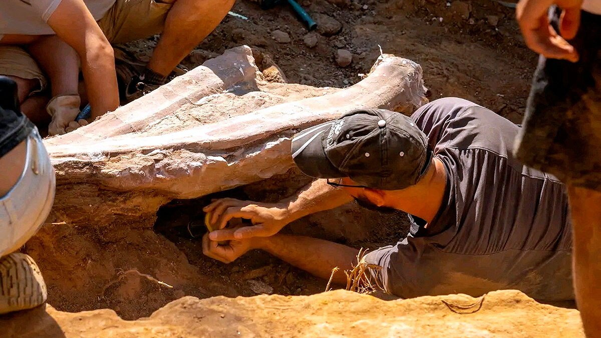 World's Largest Dinosaur