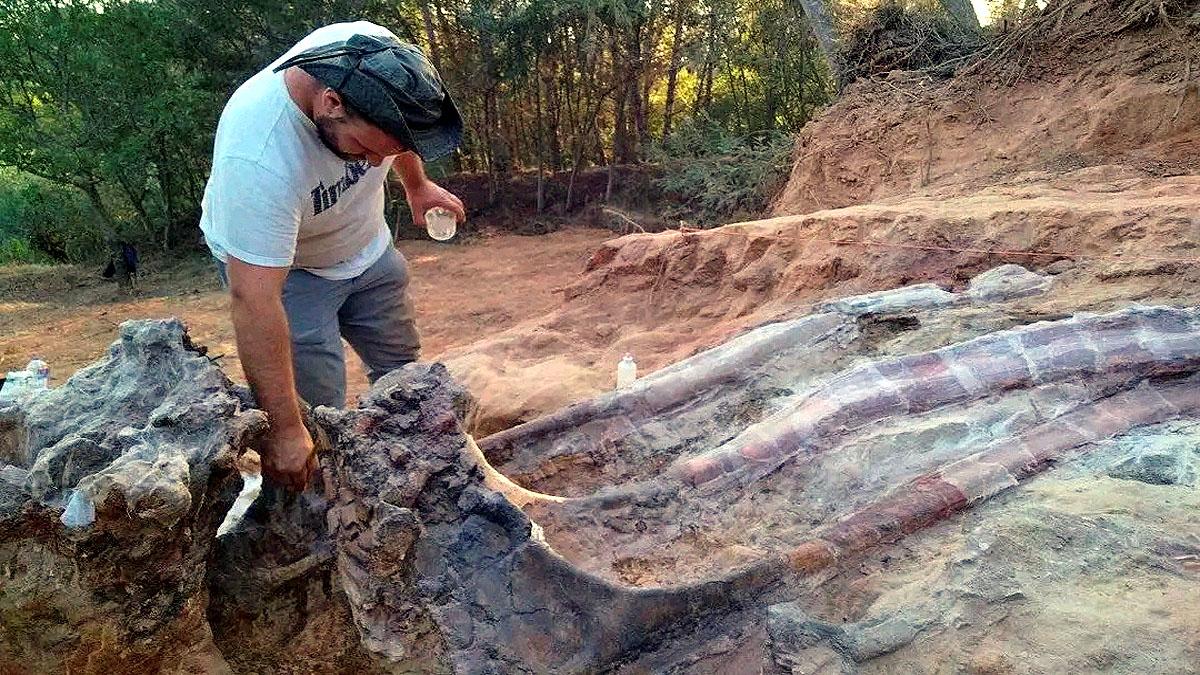 World's Largest Dinosaur