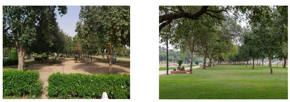 बदल गया लॉन का लुक भी