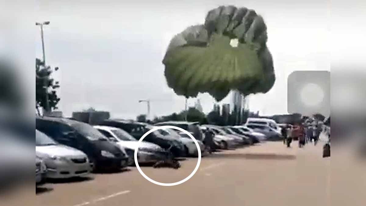 Nigerian Paratroopers Landing