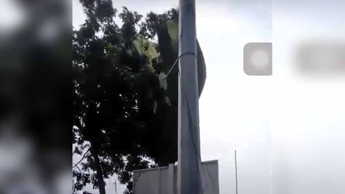 Nigerian Paratroopers Landing