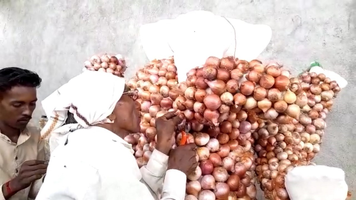 Onion Price down isssue