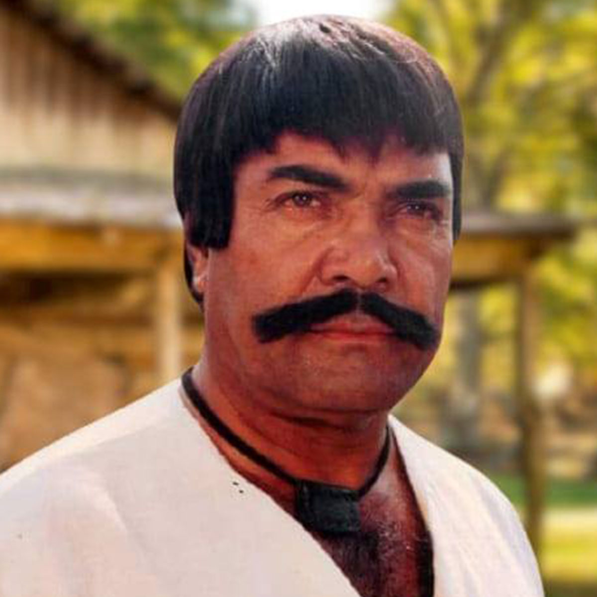 सुल्तान राही