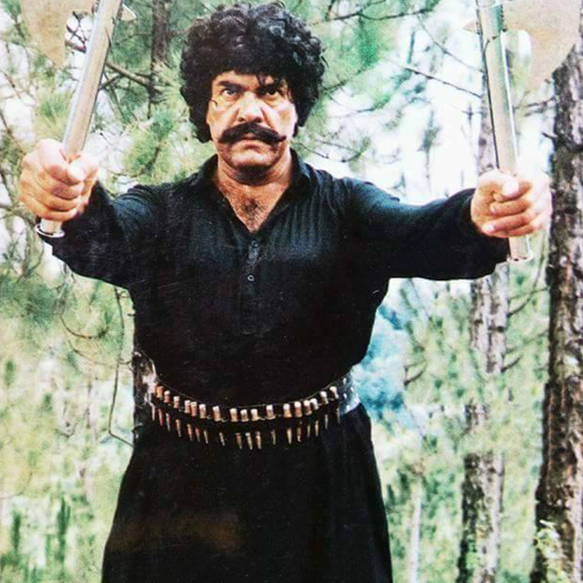 सुल्तान राही