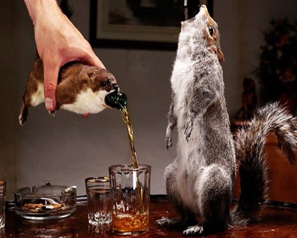  गिलहरी के खाल से बनी बोतल में बीयर (फोटो क्रेडिट: uncrate.com)