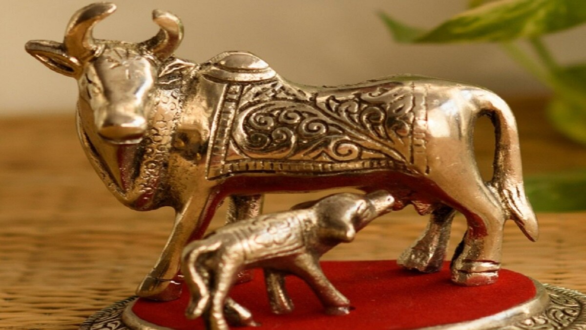 Dhanteras Gift Item