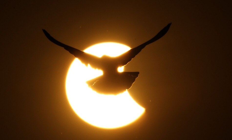 सूर्य ग्रहण