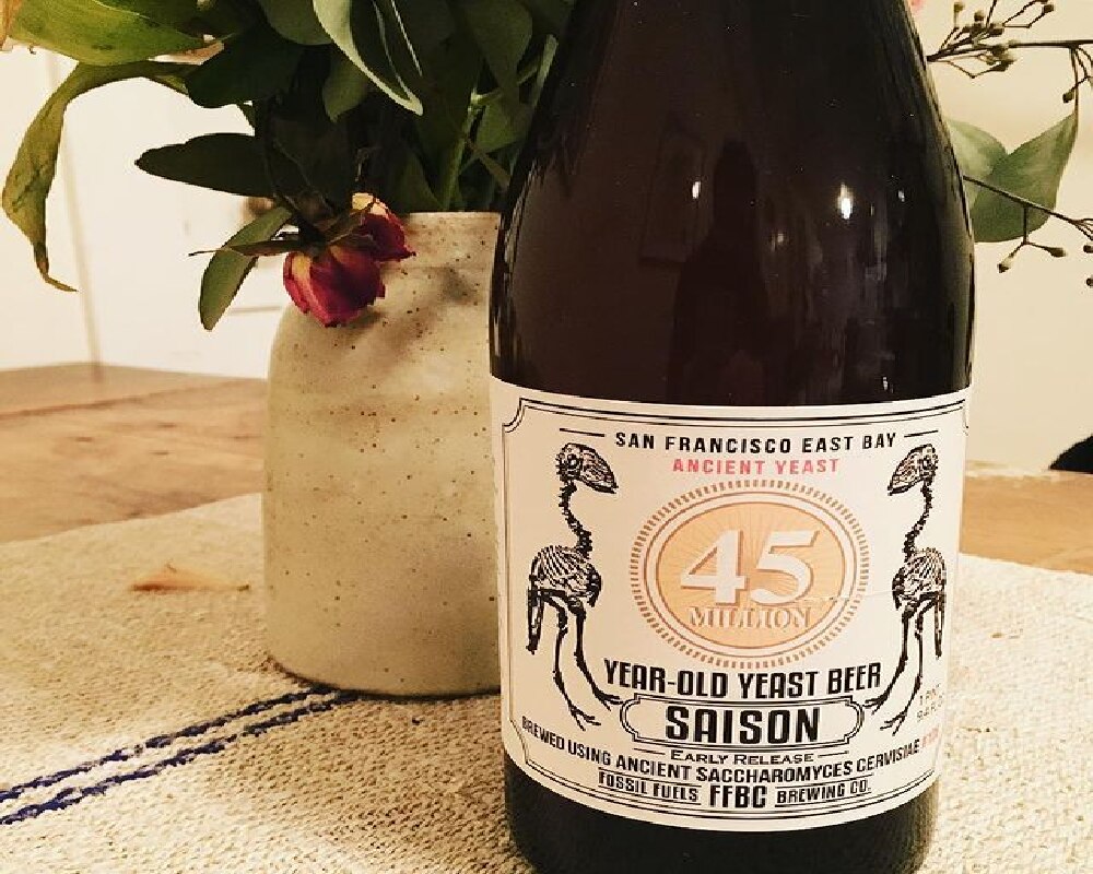 4.5 करोड़ साल पुराने यीस्ट से बनी बीयर (फोटो क्रेडिट: fossilfuelsbeer instagram)