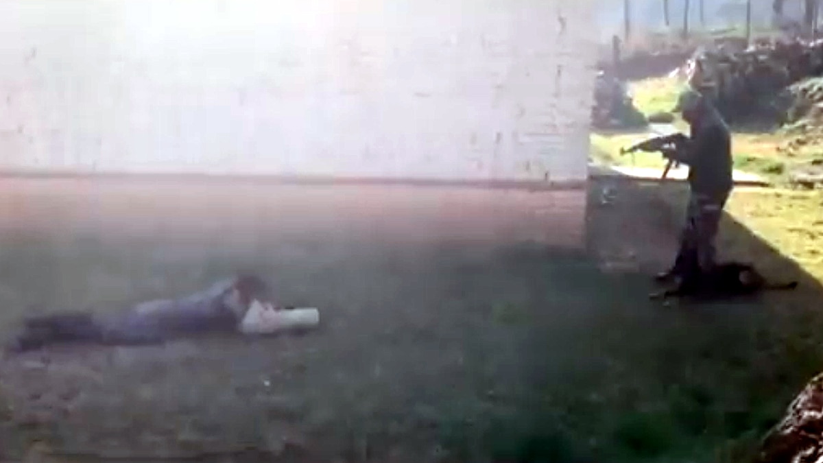 Army Assault Dog Zoom