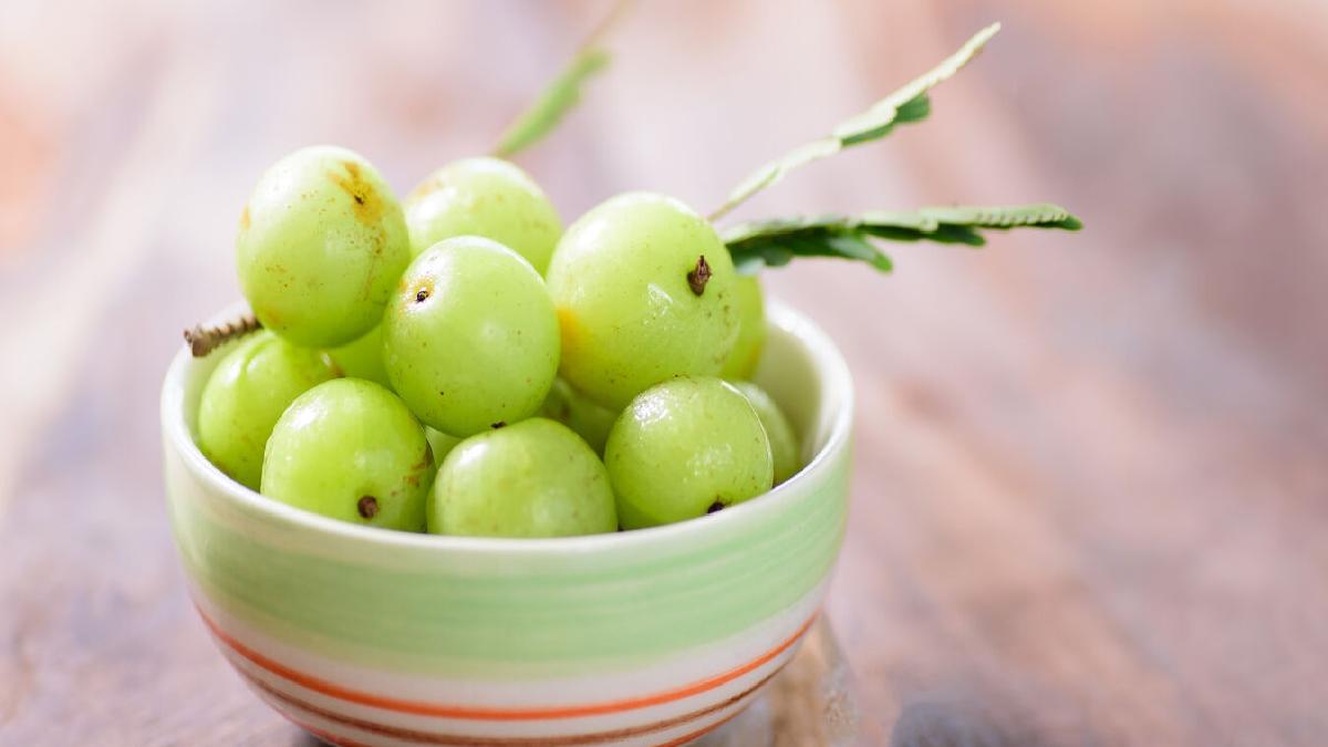 सेहत का खजाना है आंवला, जानिए सर्दियों में इसके सेवन के पांच चमत्कारी फायदे