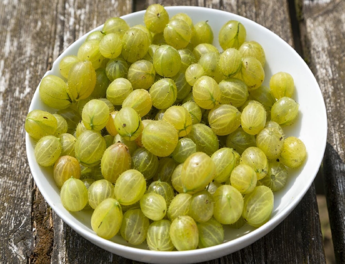 मुंह के छालों की समस्या से दिलाए निजात