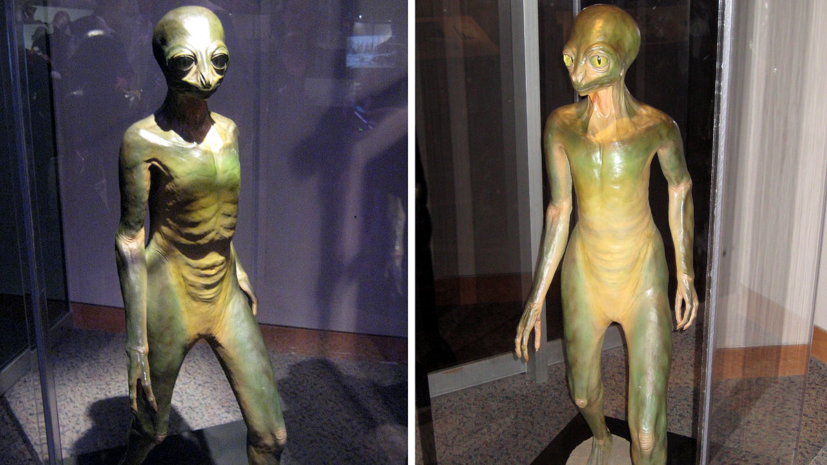 If Dinosaurs Live Today