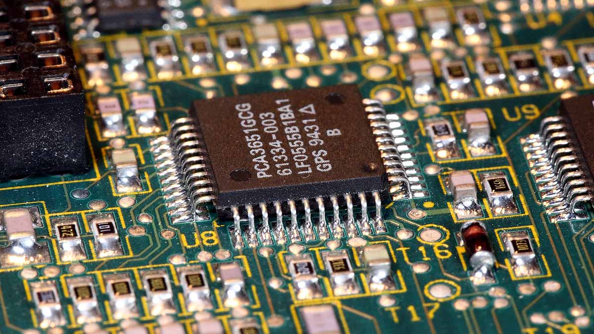 Computer Chips Mushroom Skin