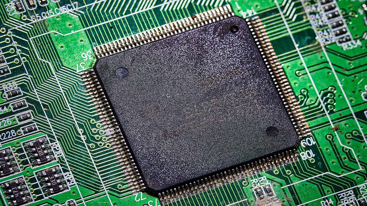 Computer Chips Mushroom Skin