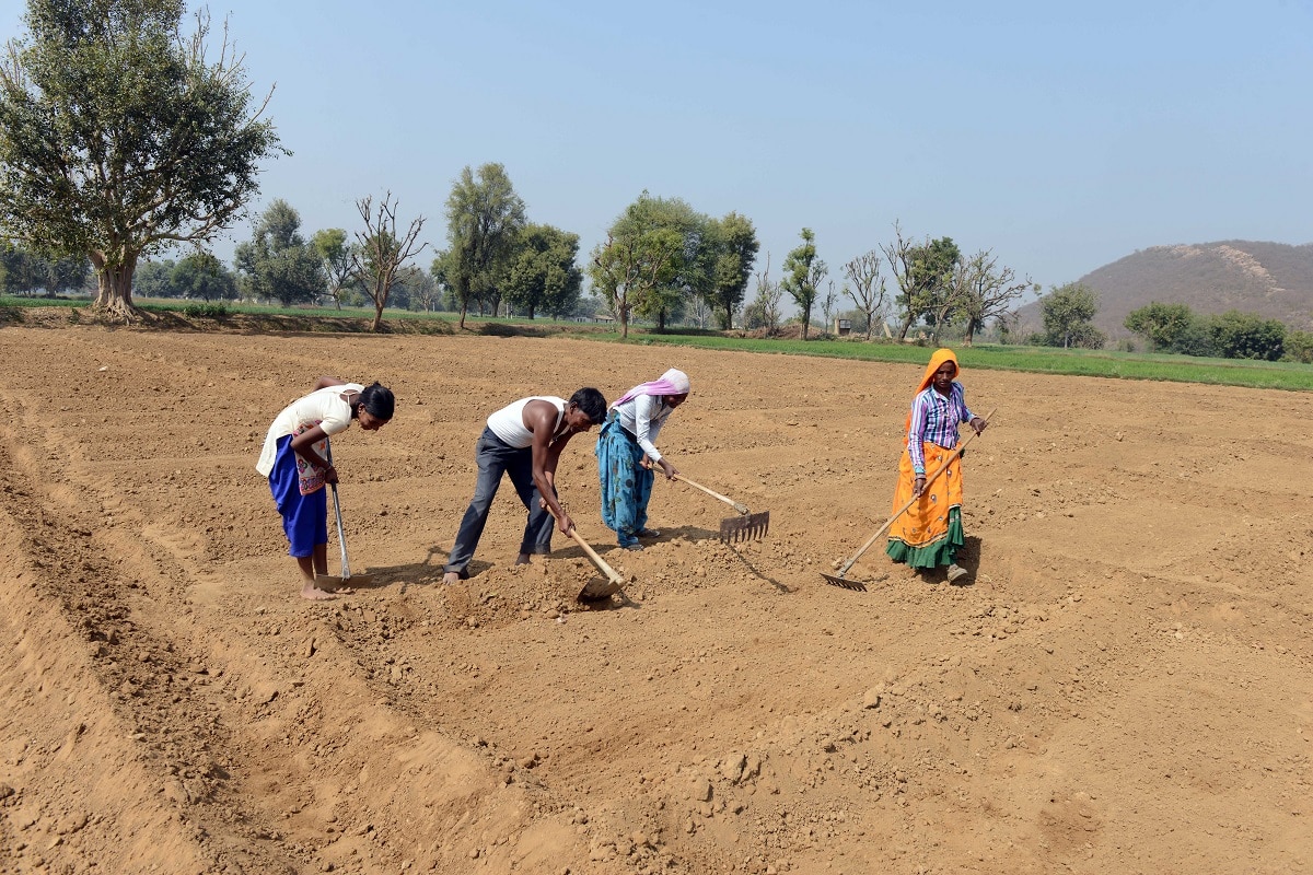 PM Kisan yojana update (Pic credit: Getty)