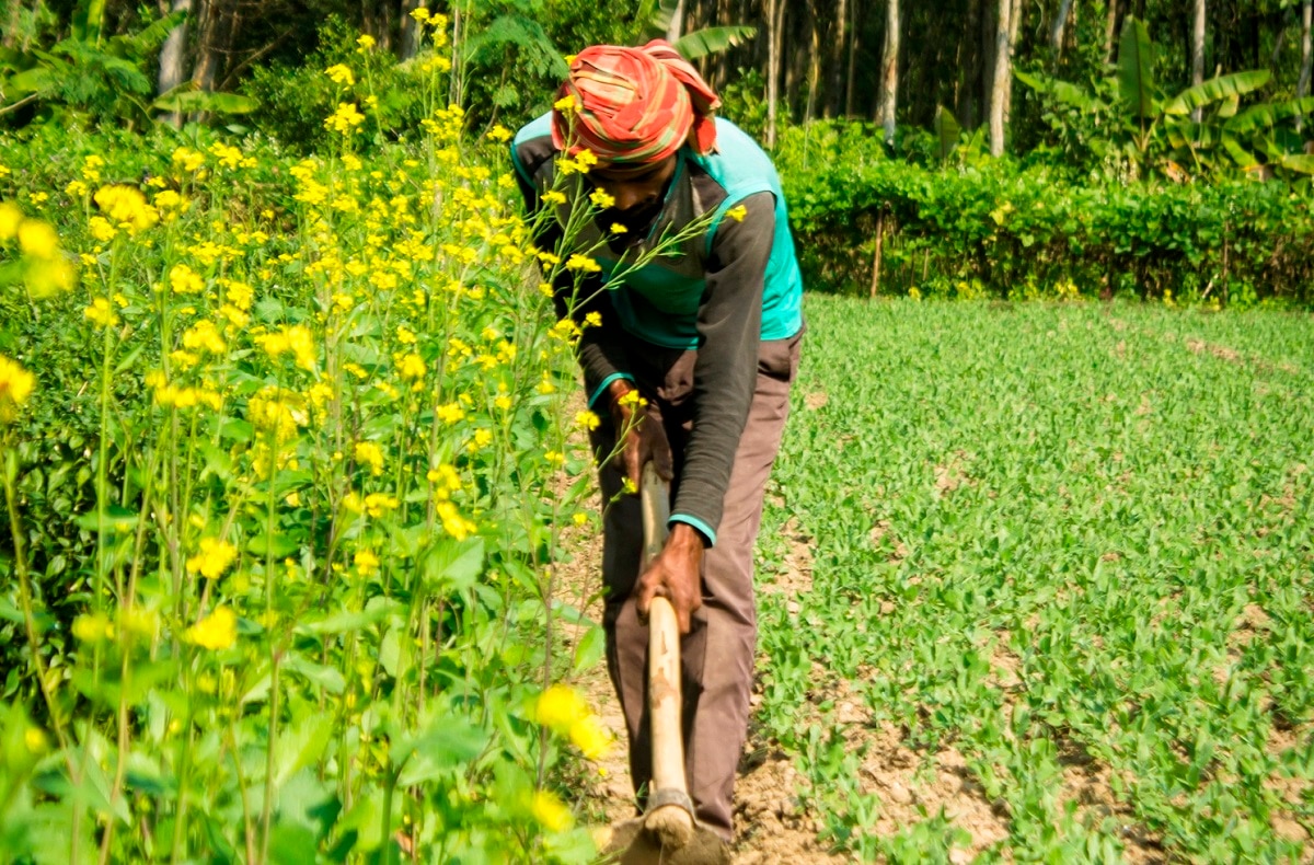 PM Kisan Yojana Beneficiary Status( Pic credit: Getty)