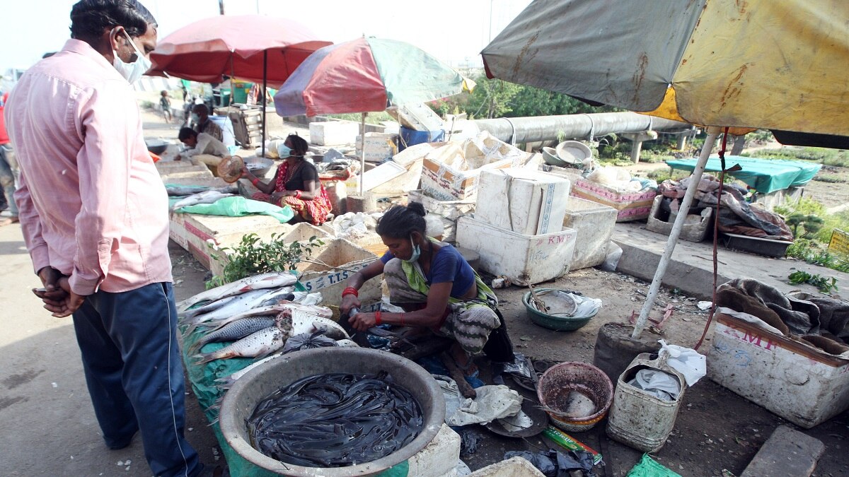 Fish farming business