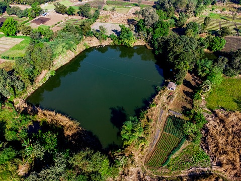 Fish farming in india