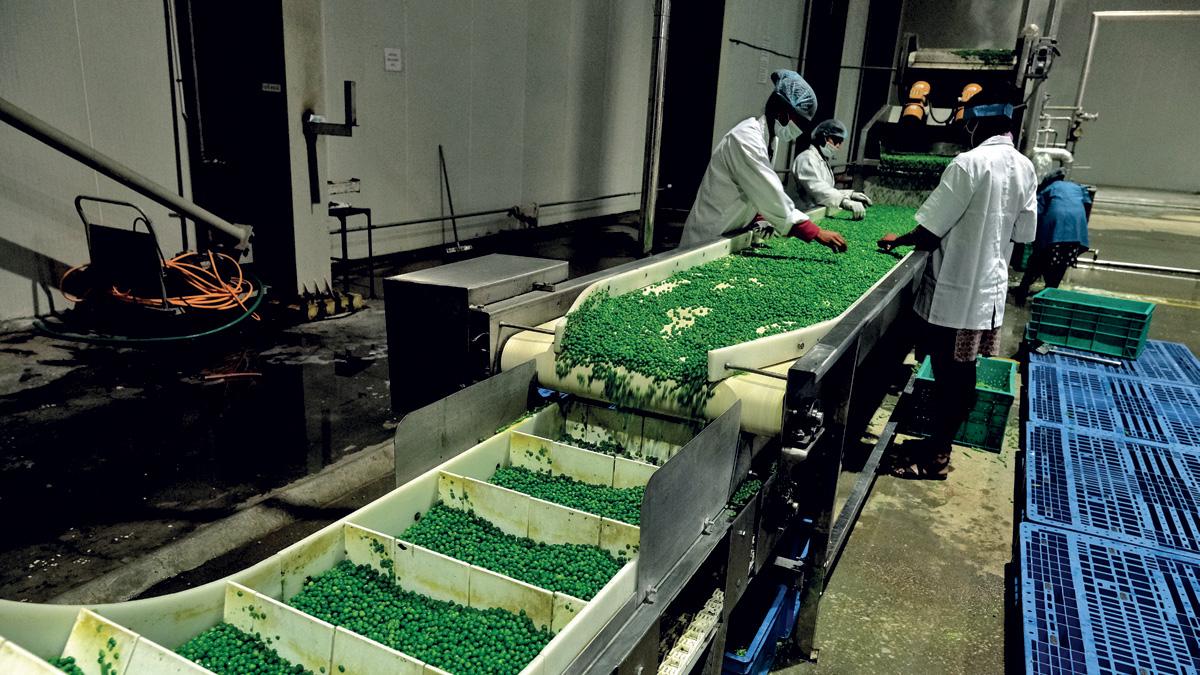 Food Processing Unit