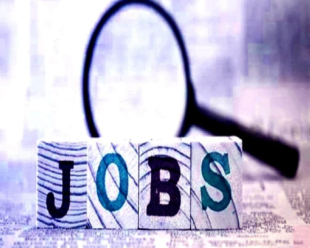 Government Jobs 2022 (Representational Image)