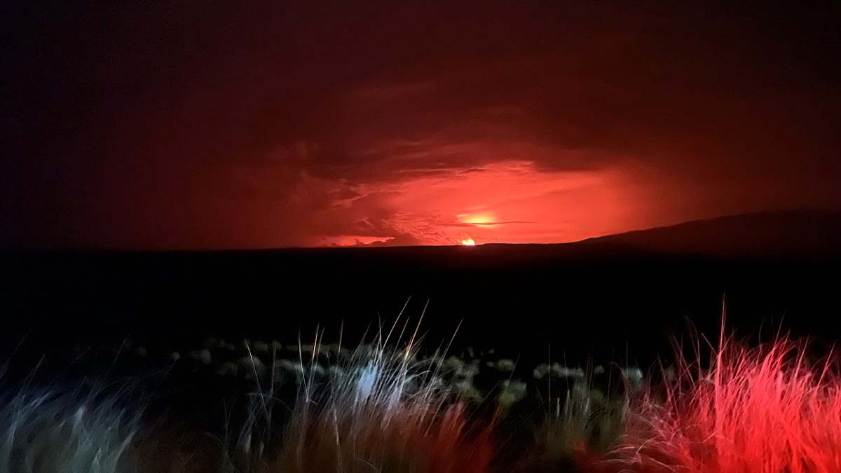 Mauna Loa Volcano Erupts