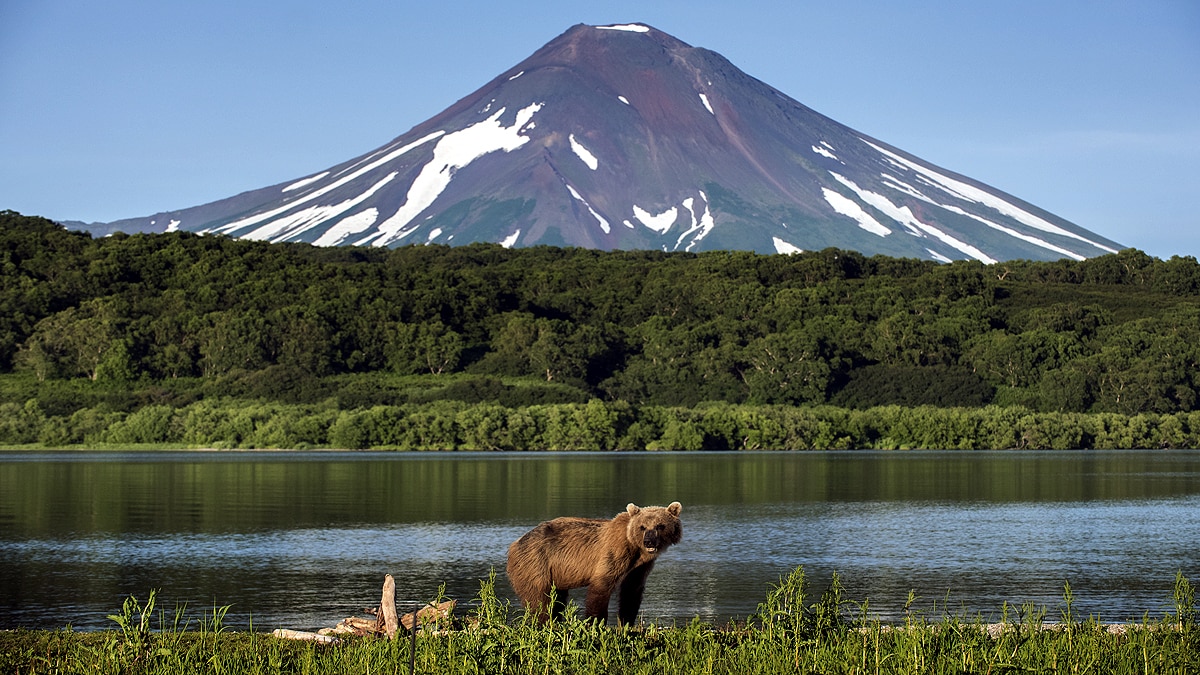 Shiveluch Volcano Russia